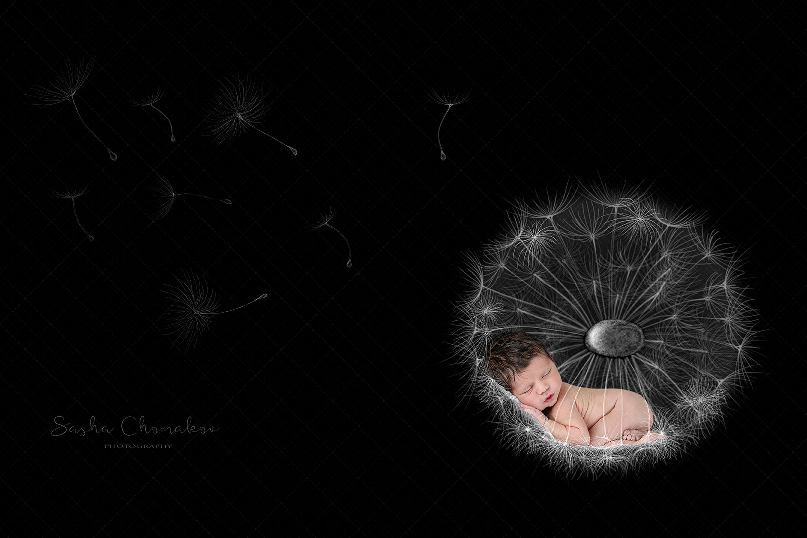 Digital Backdrop