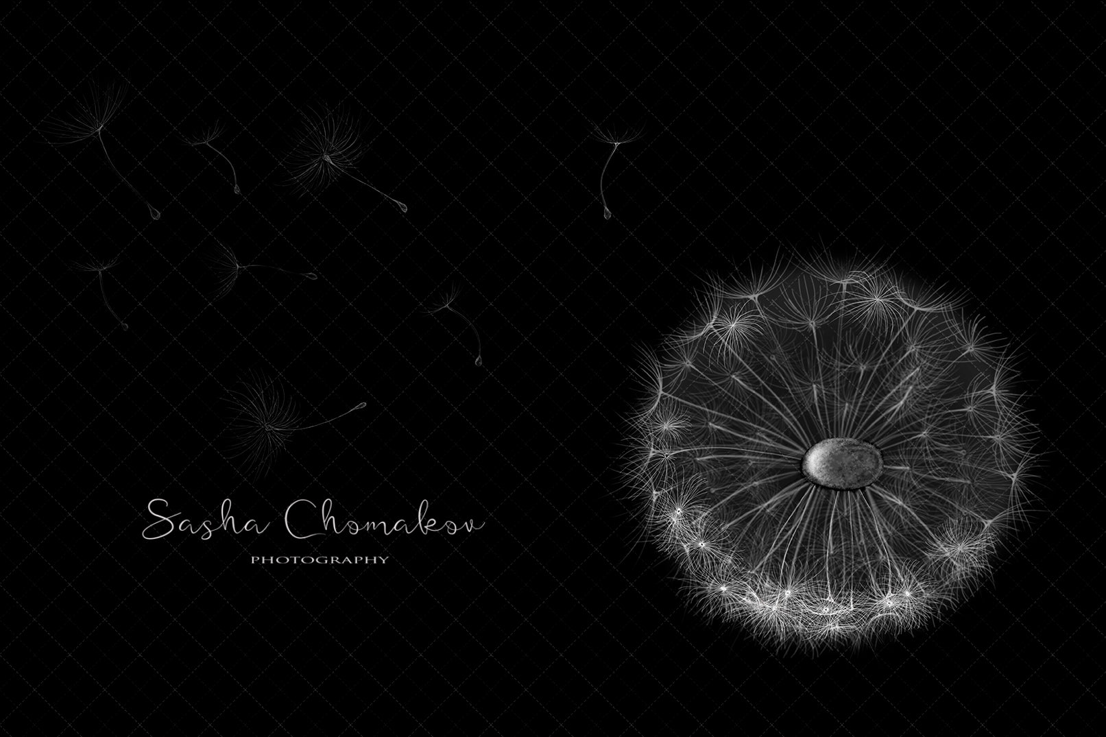 Digital Backdrop