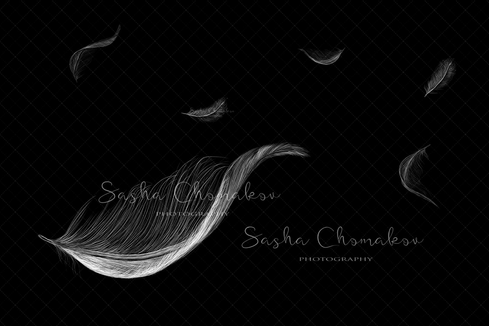 Digital Backdrop