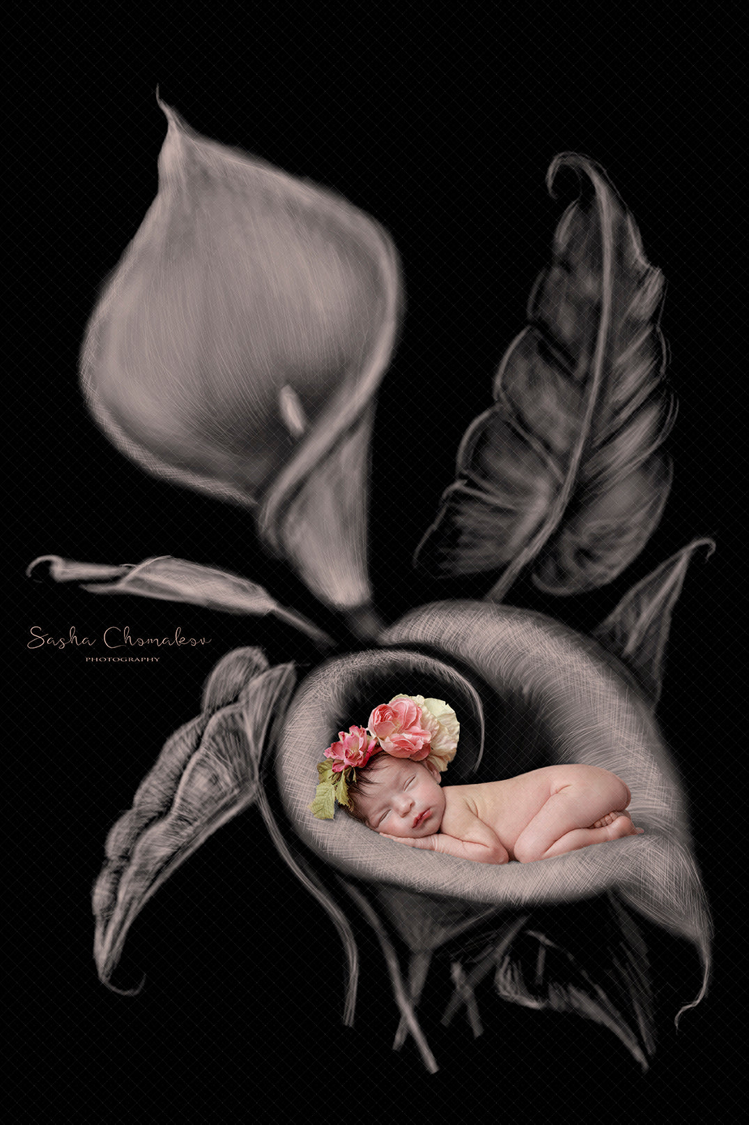 Digital Backdrop