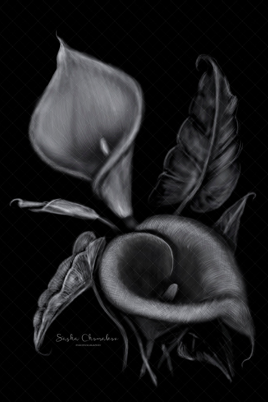 Digital Backdrop