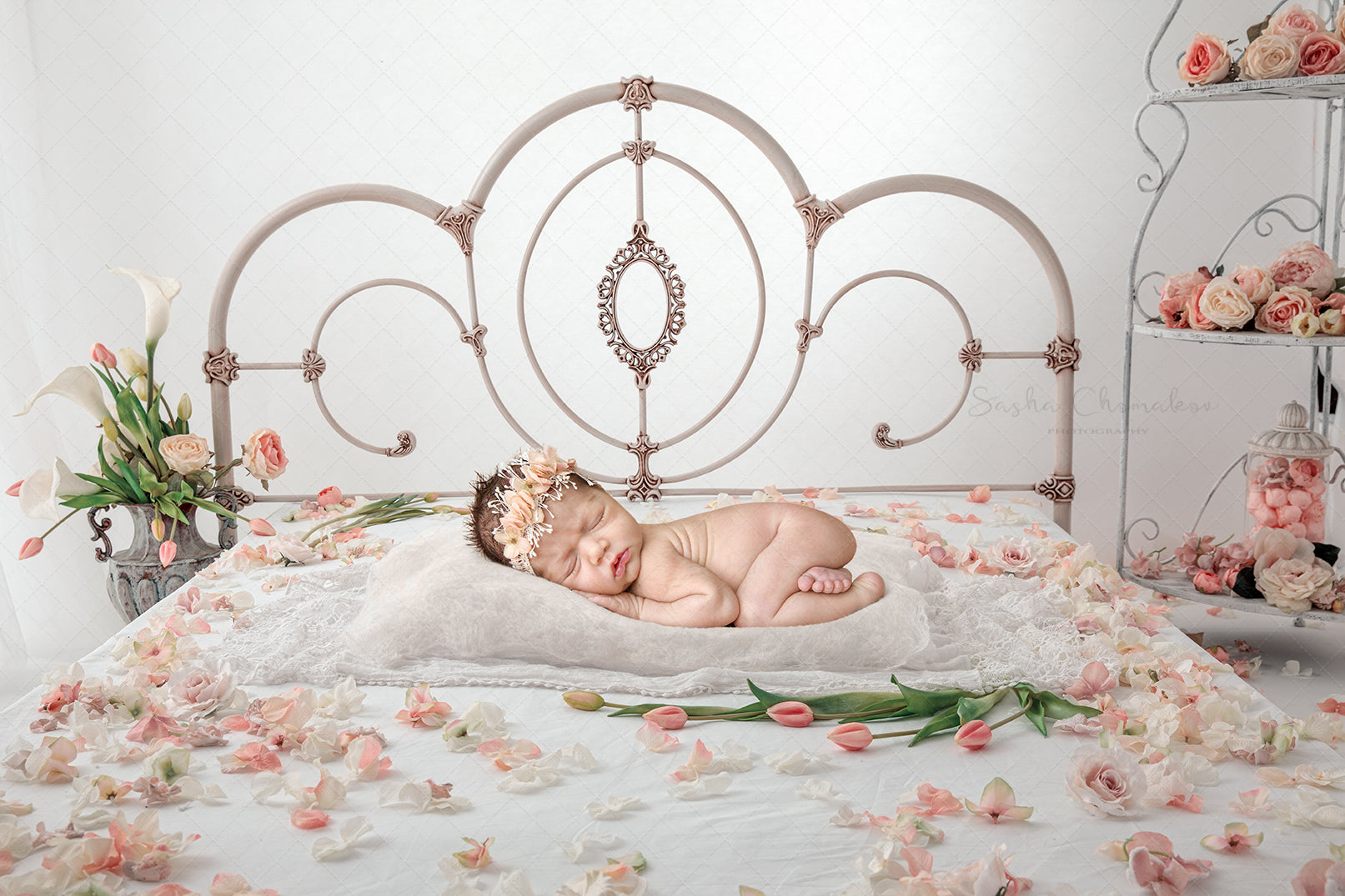 Digital Backdrops
