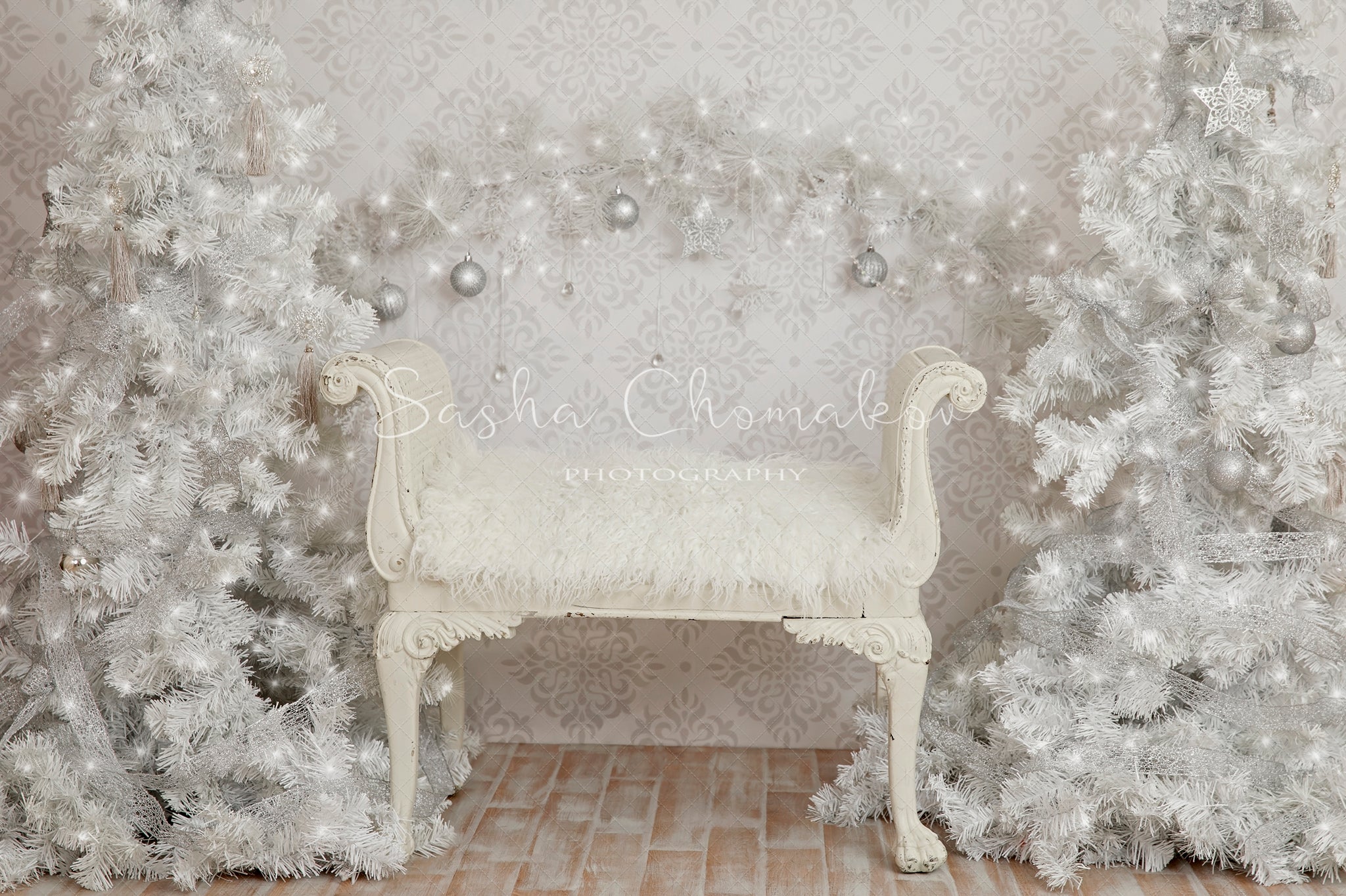 Digital Backdrop