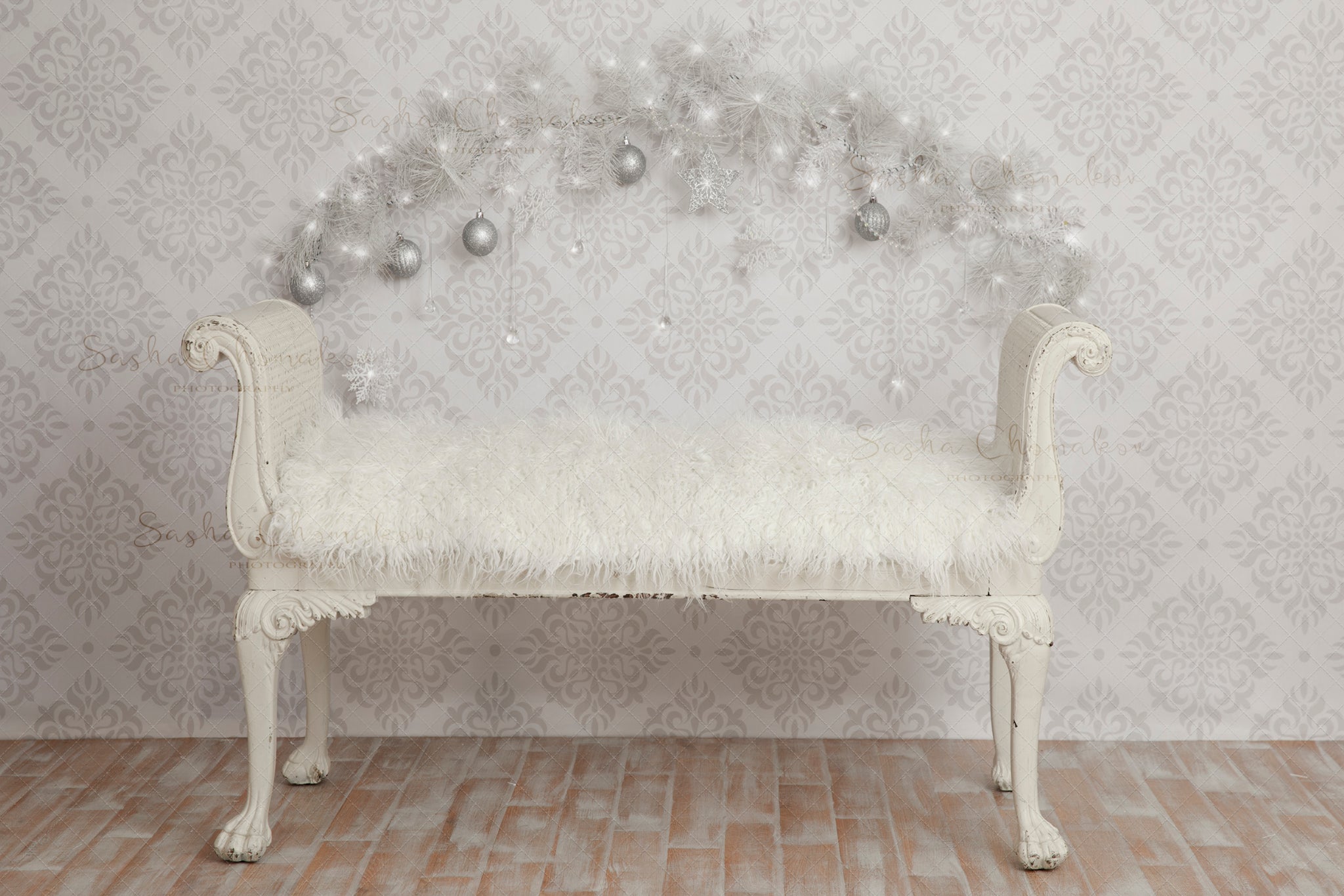 Digital Backdrop