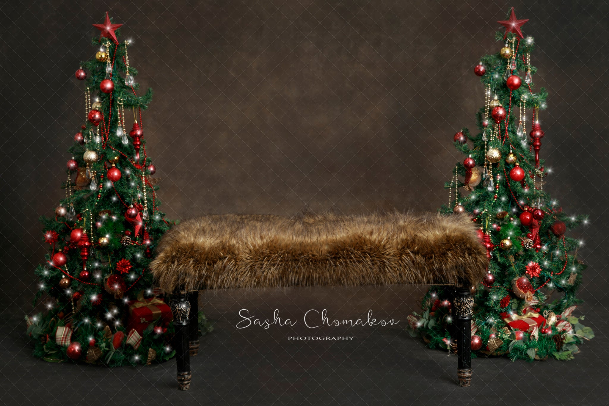 Digital Backdrop