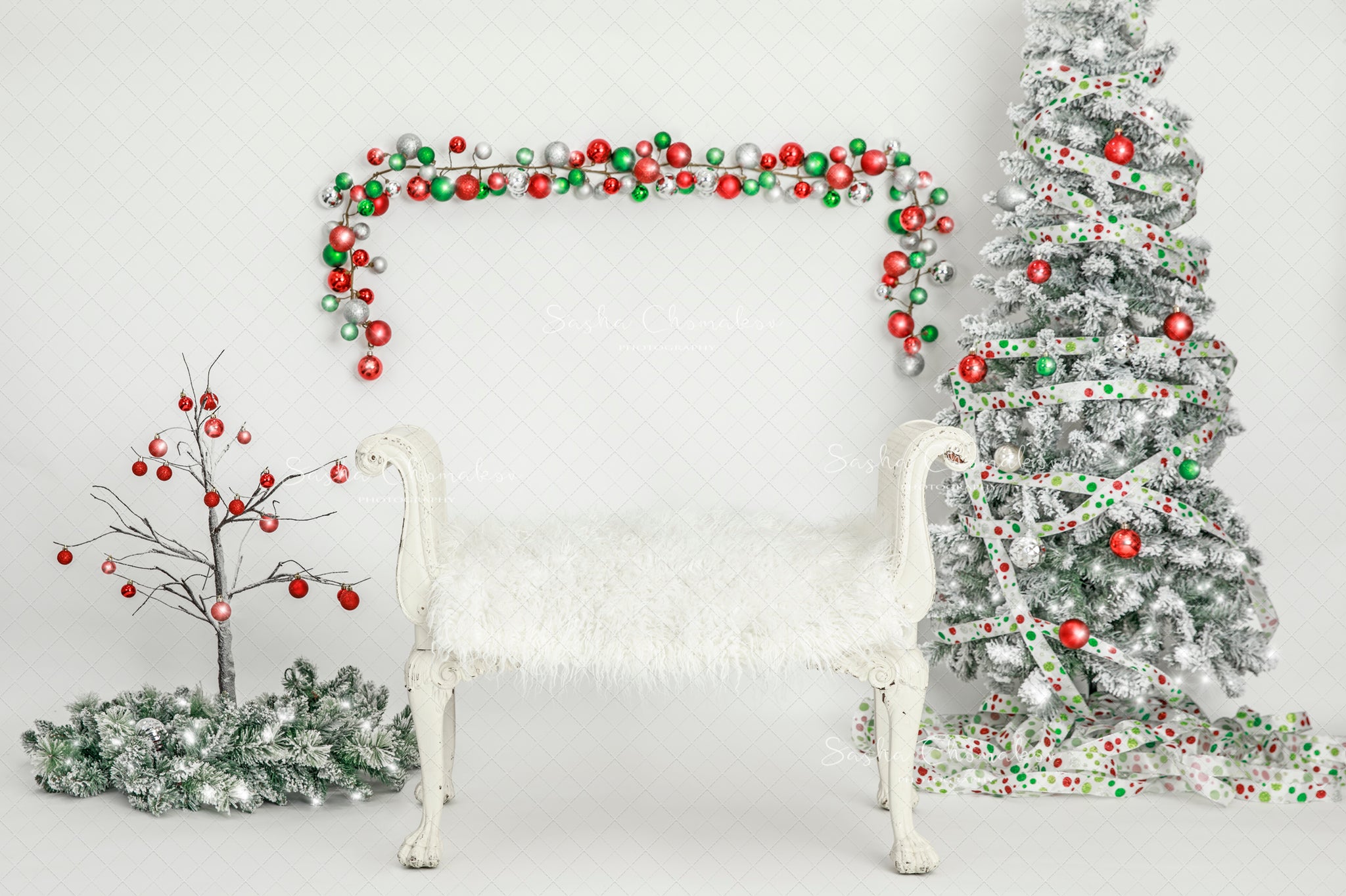 Digital Backdrop