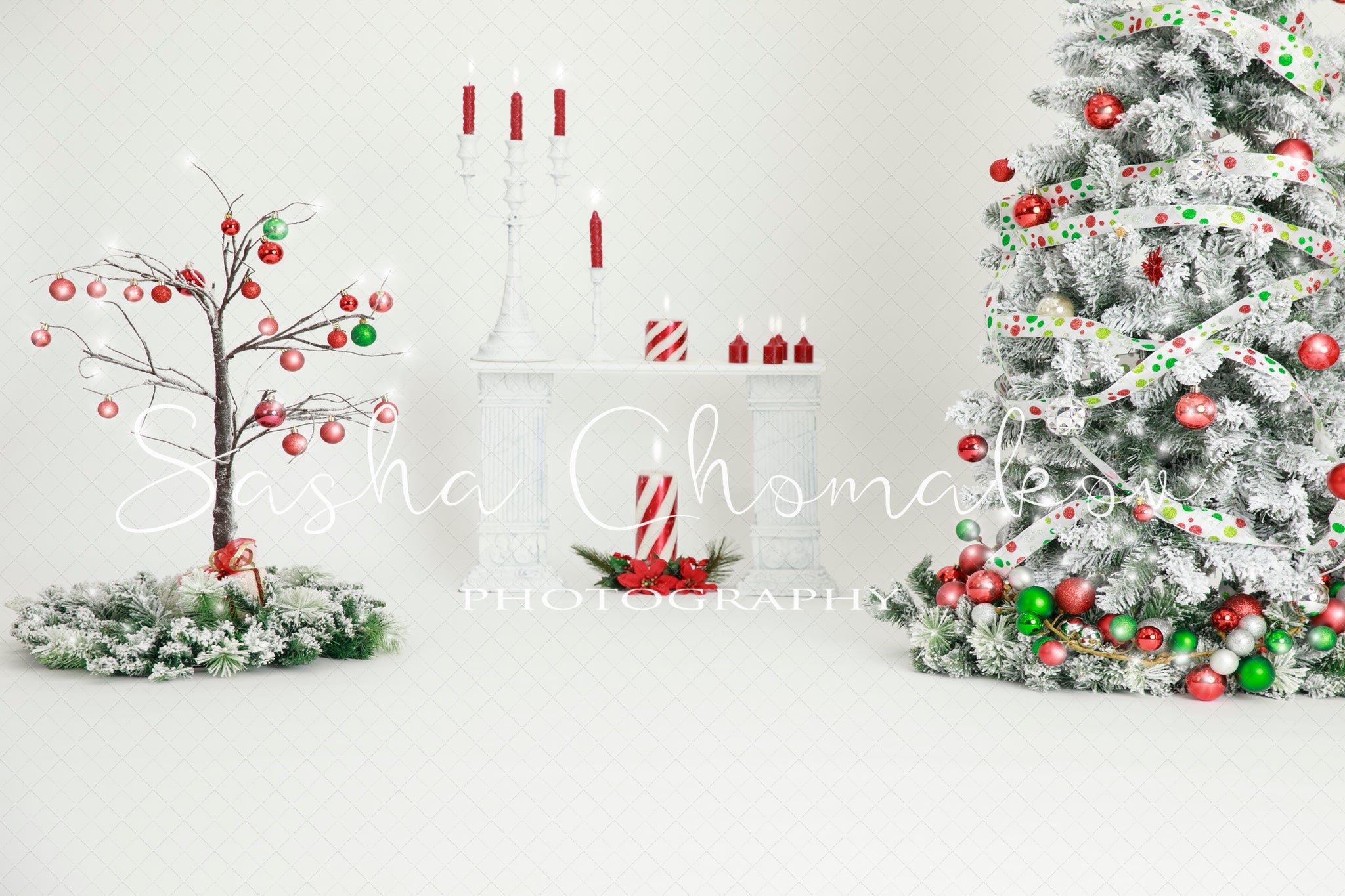 Digital Backdrop