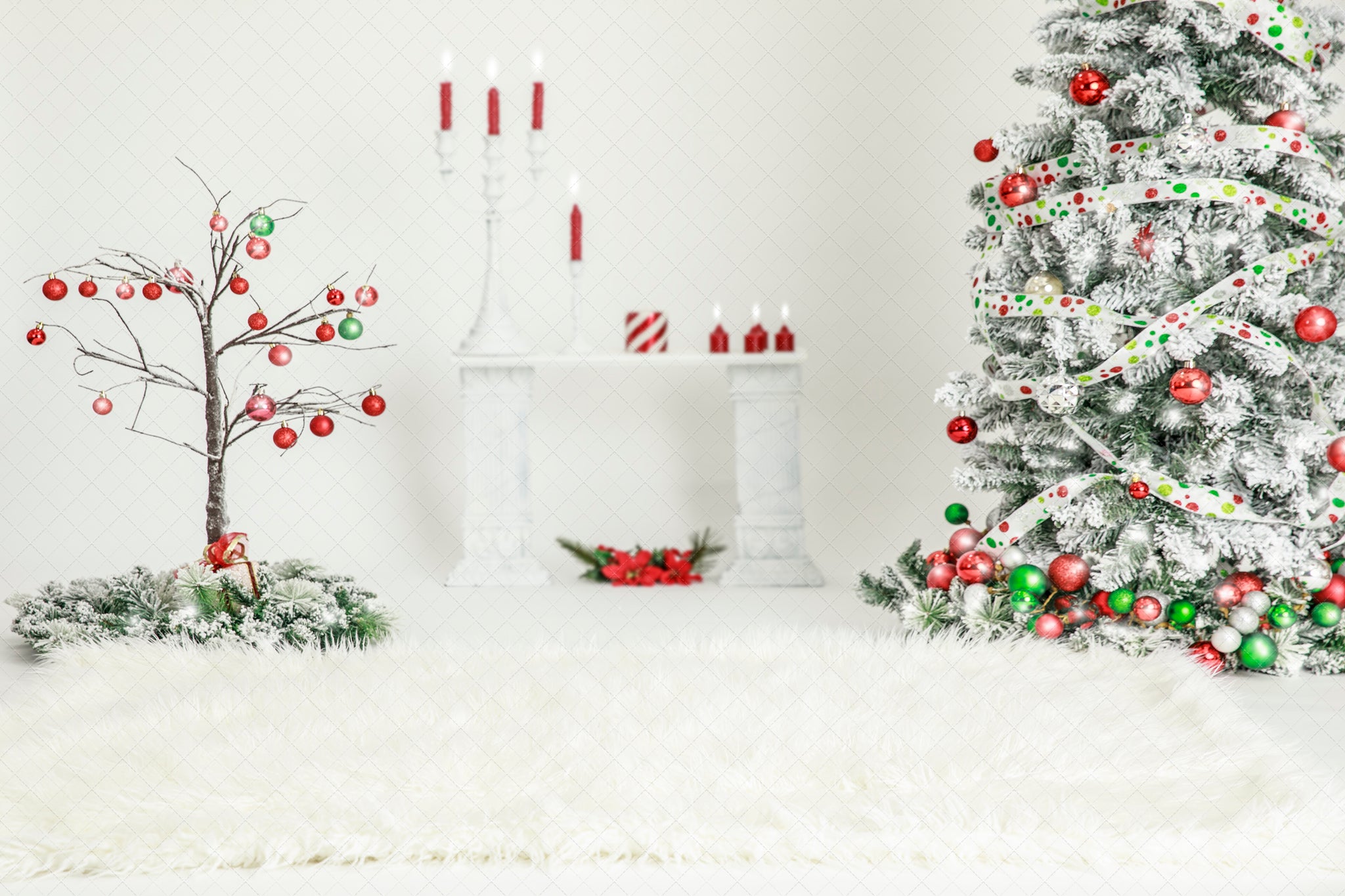 Digital Backdrop