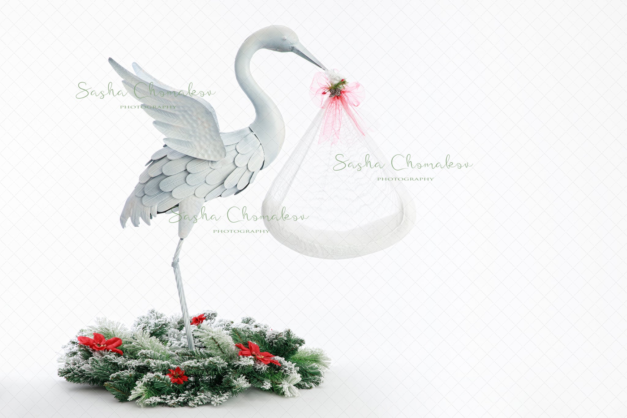 Digital Backdrop