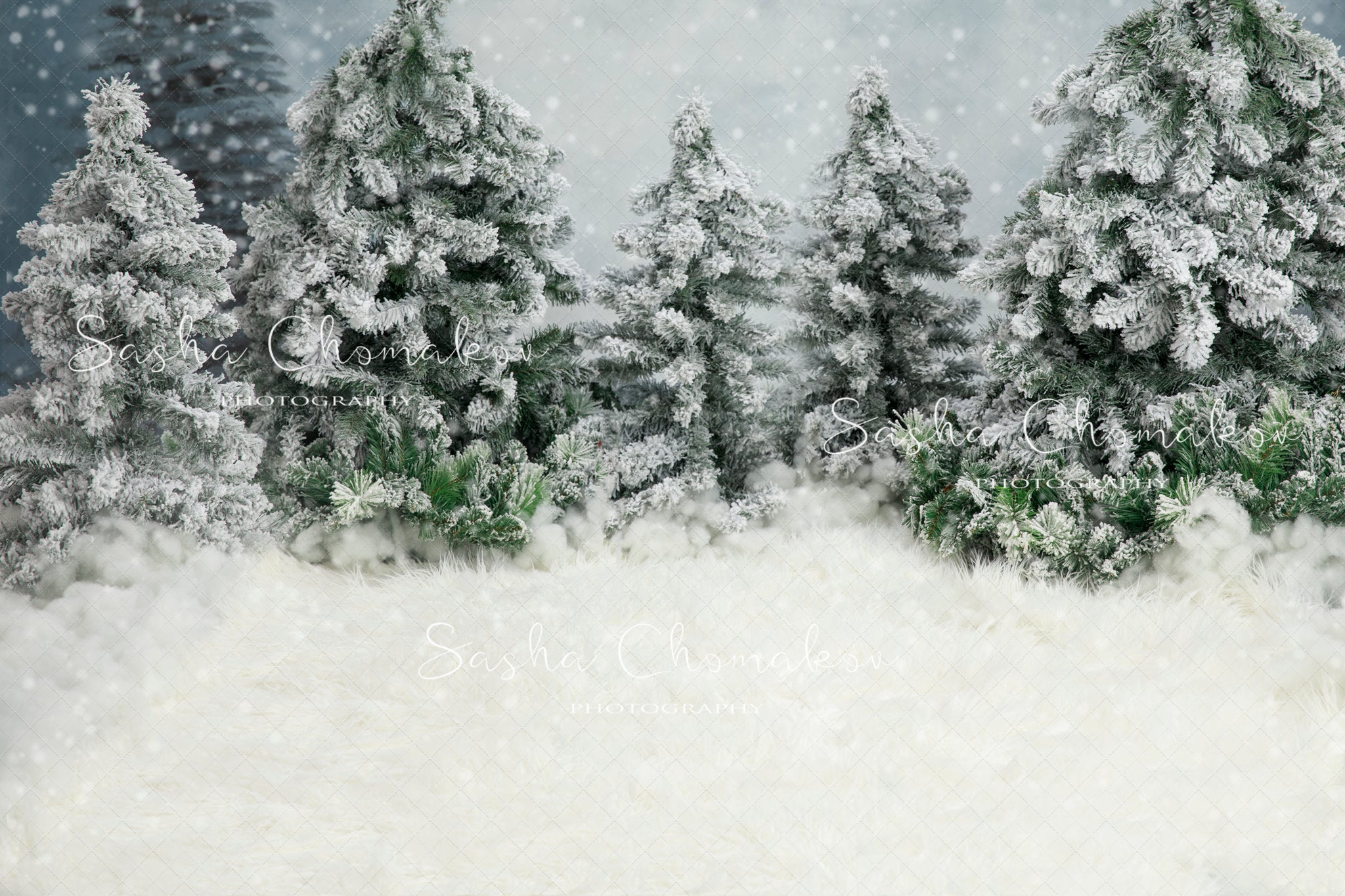 Digital Backdrop