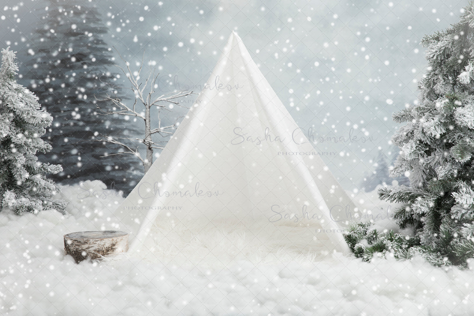 Digital Backdrop