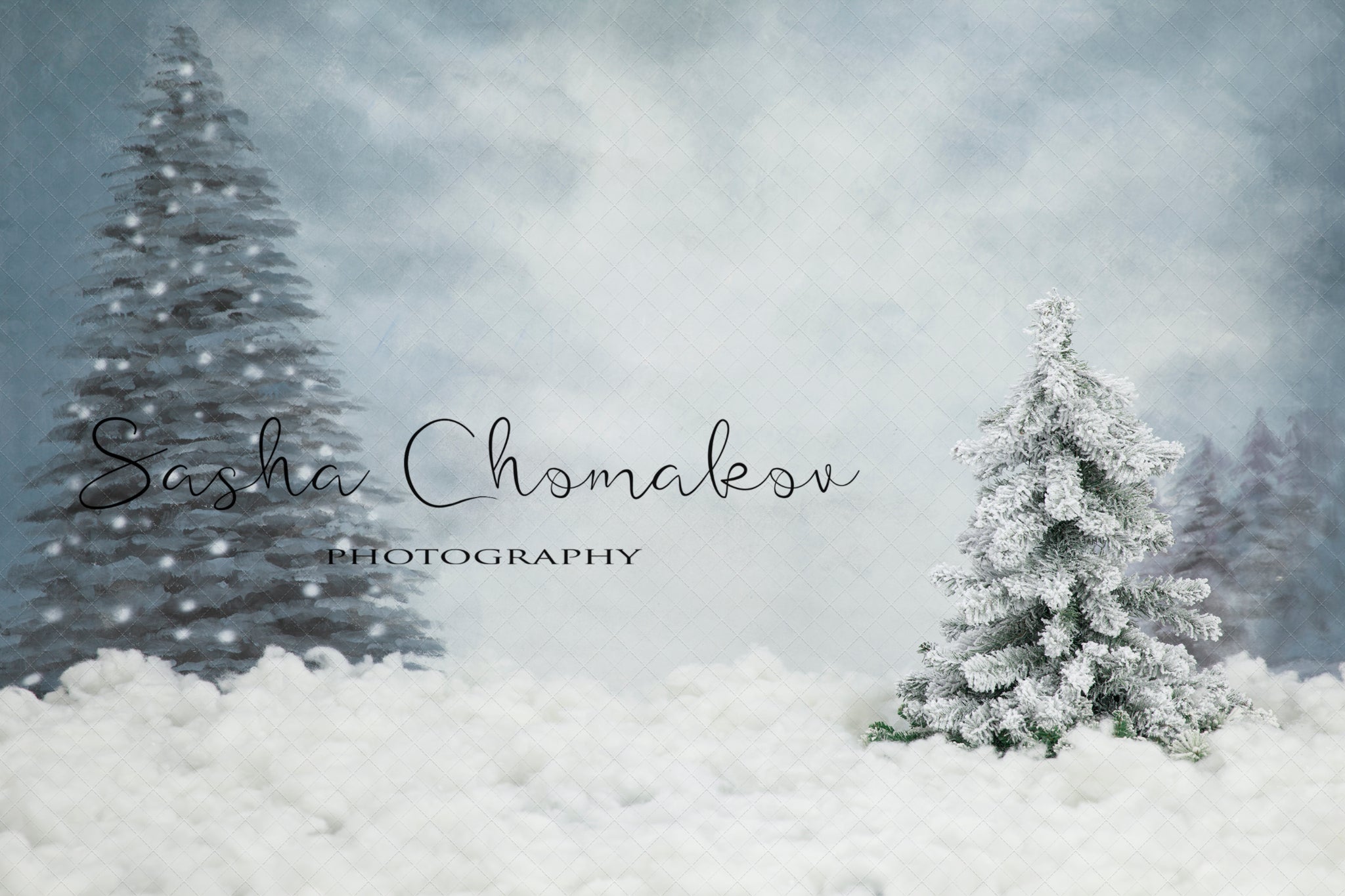 Digital Backdrop