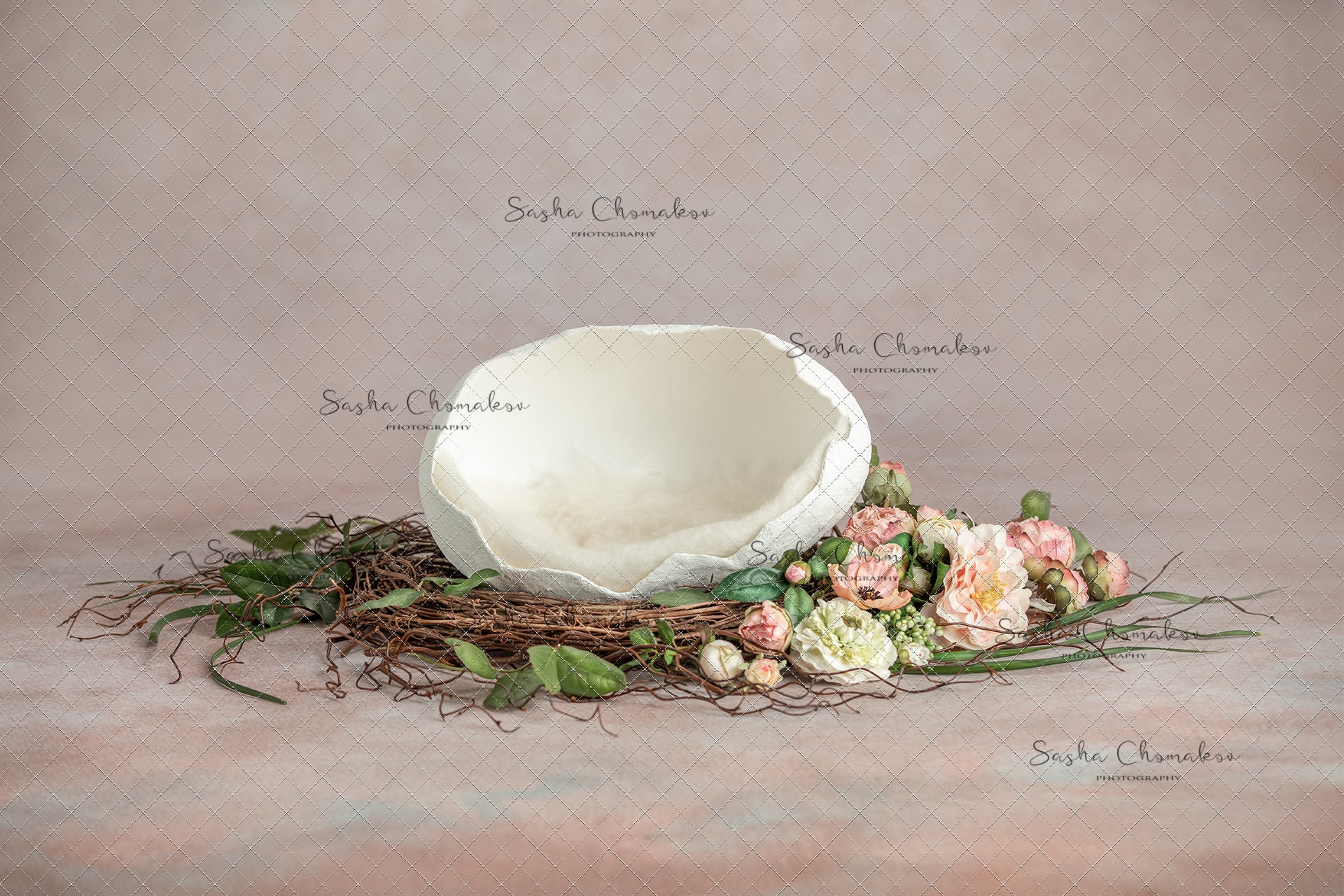 Digital Backdrop