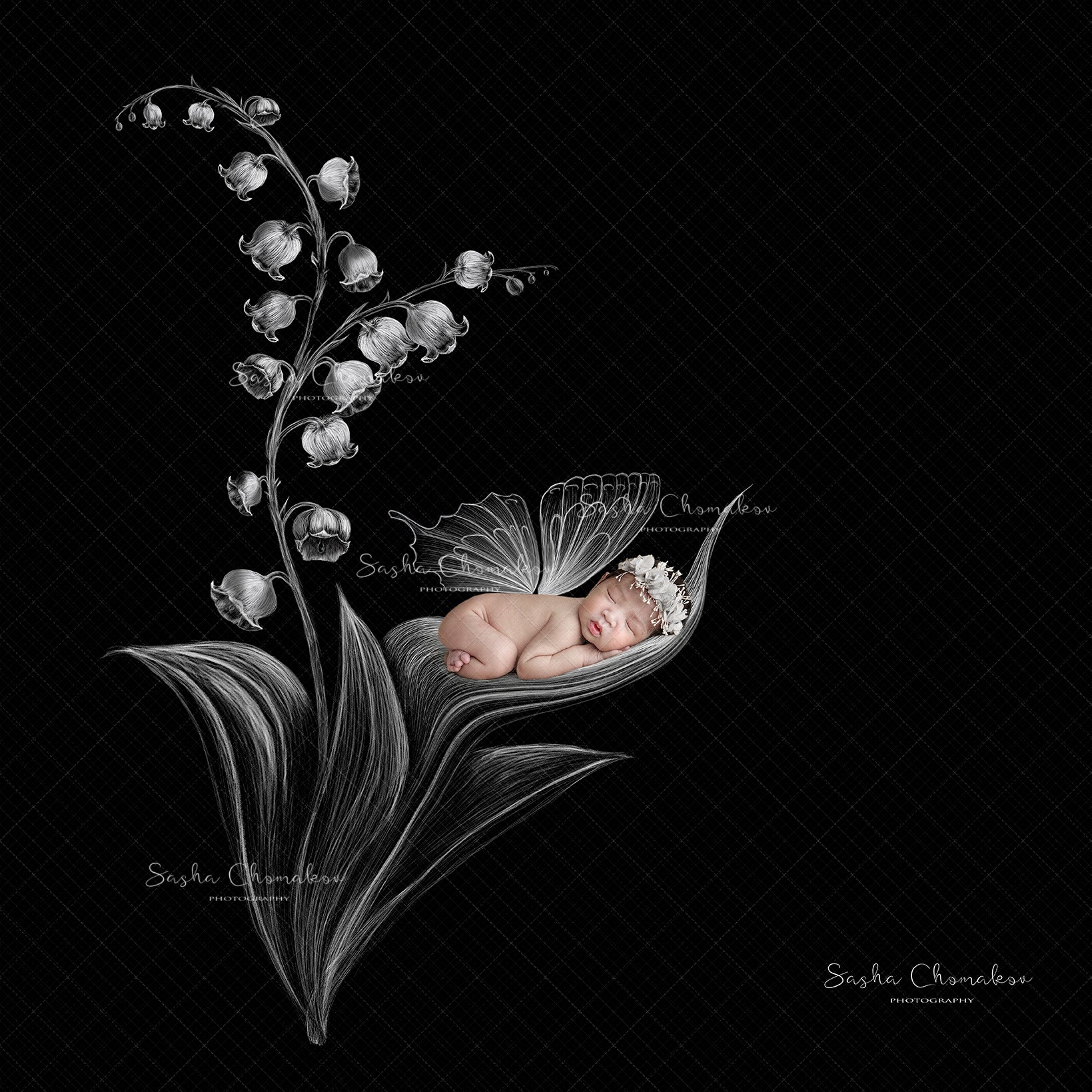 Digital Backdrop