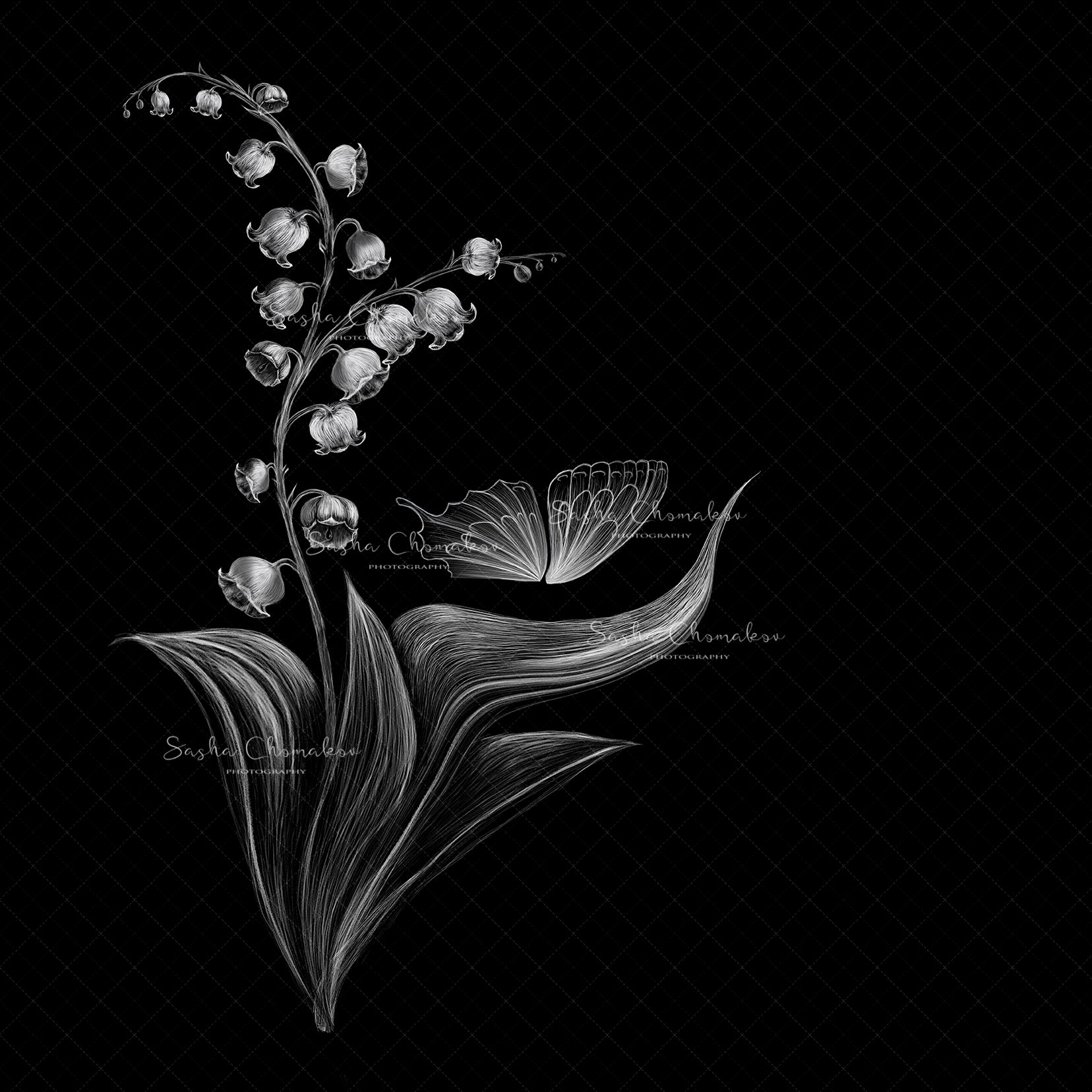 Digital Backdrop
