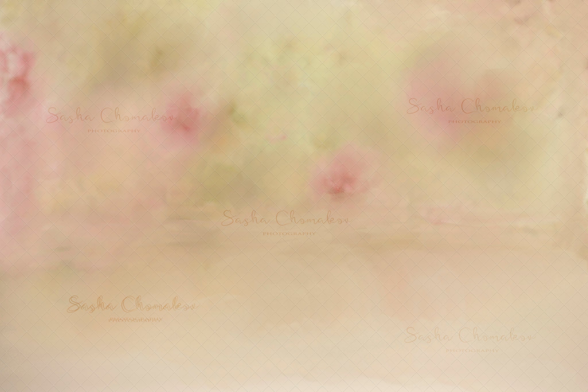 Hand Painted Digital Backdrop