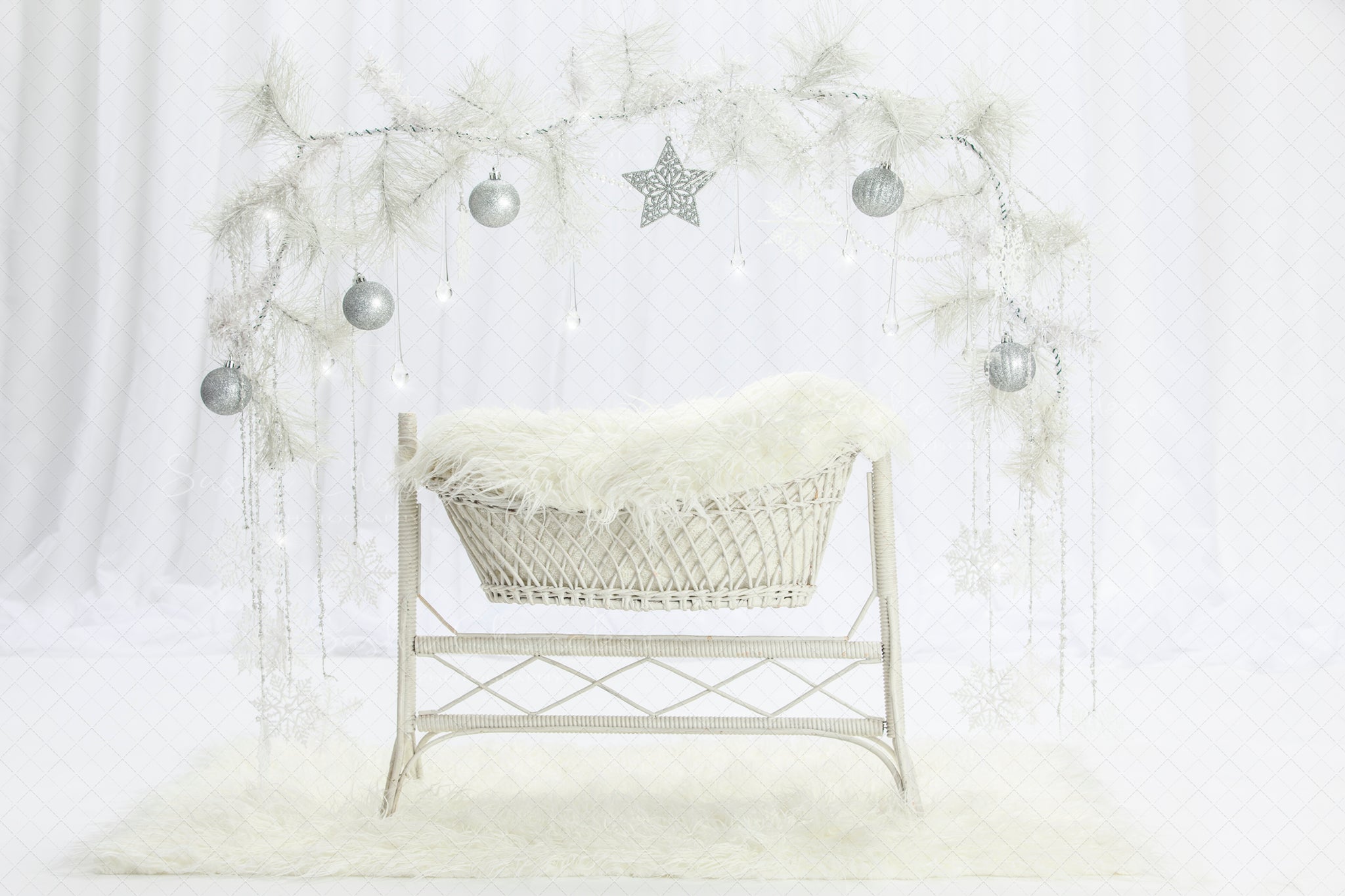 Digital Backdrop