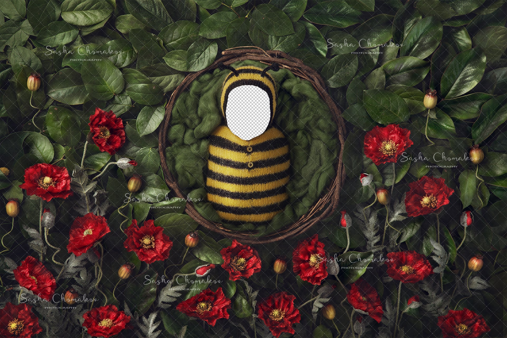 Digital Backdrop