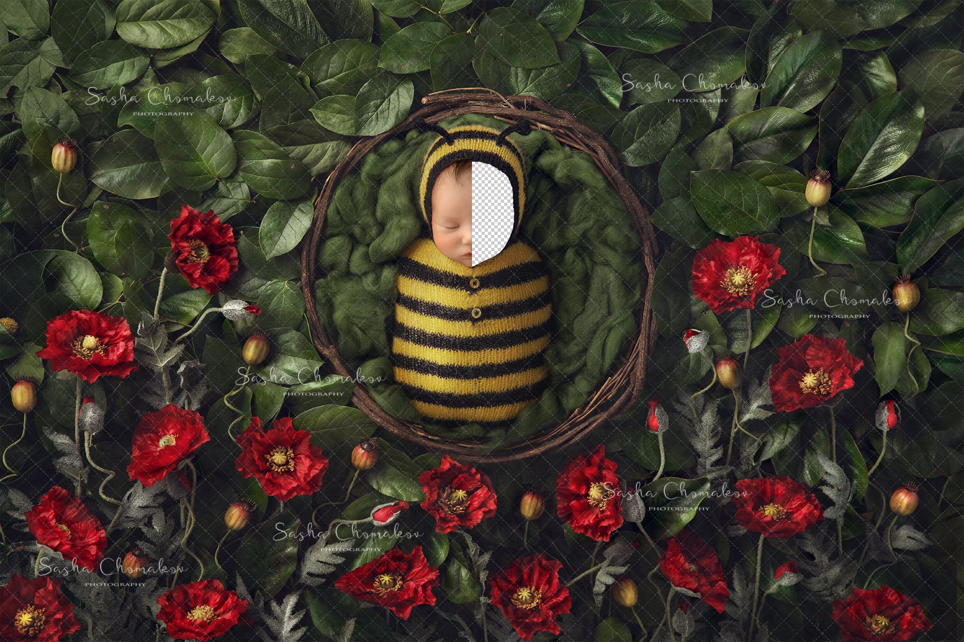 Digital Backdrop
