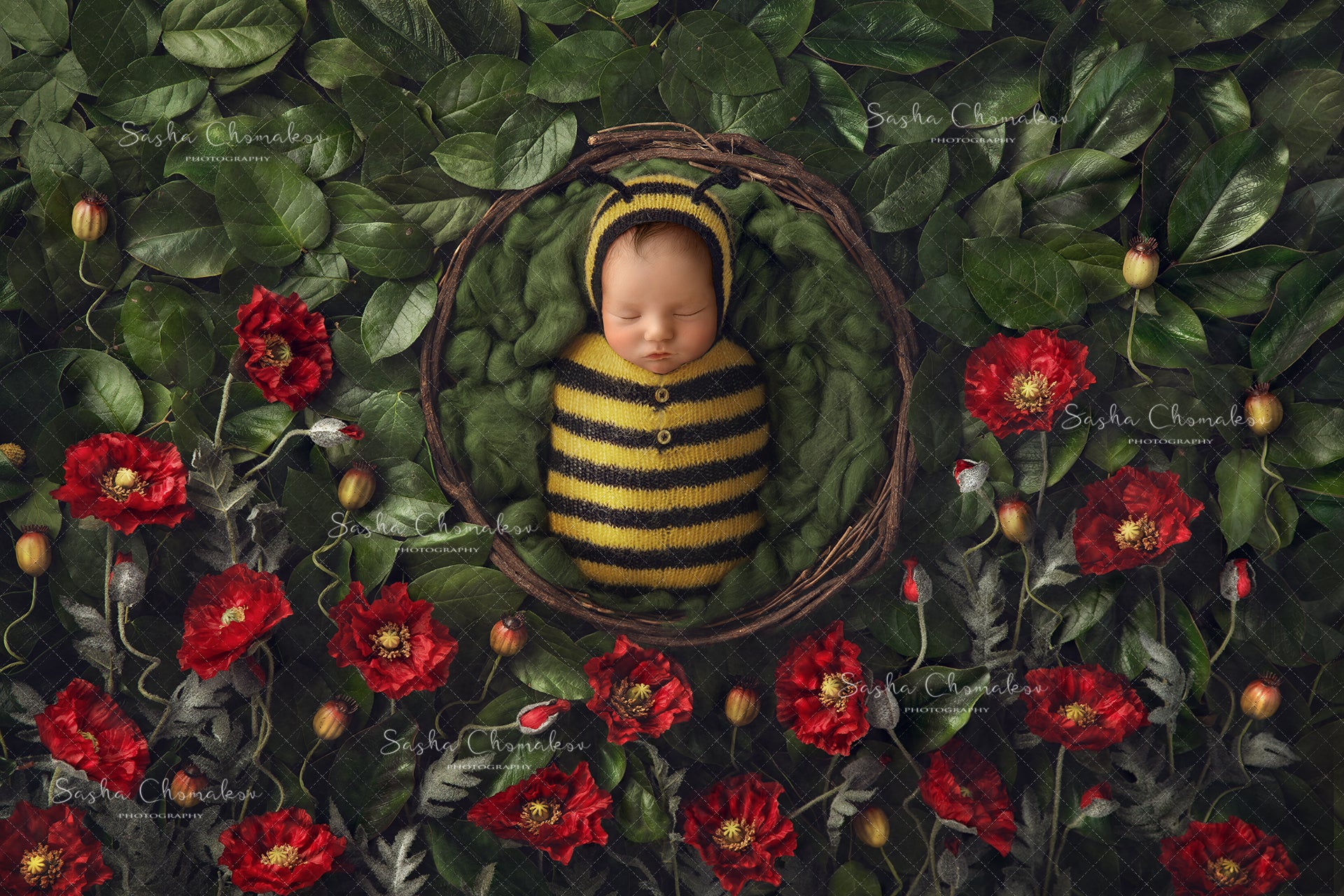 Digital Backdrop