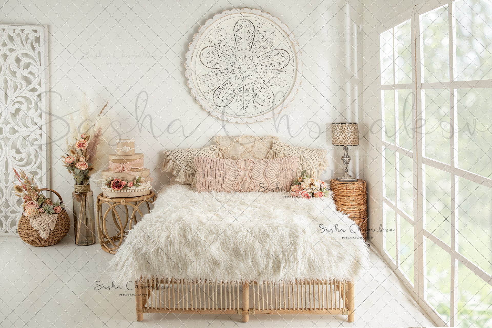 Digital Backdrop