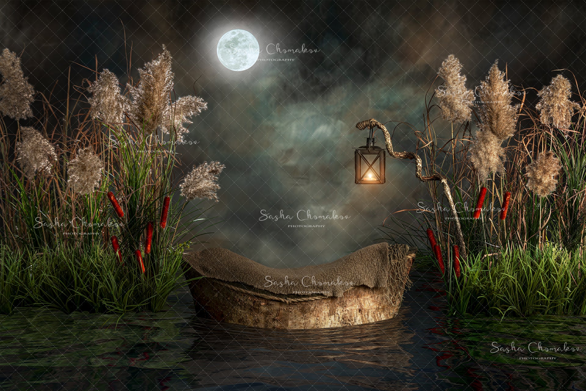 Digital Backdrop