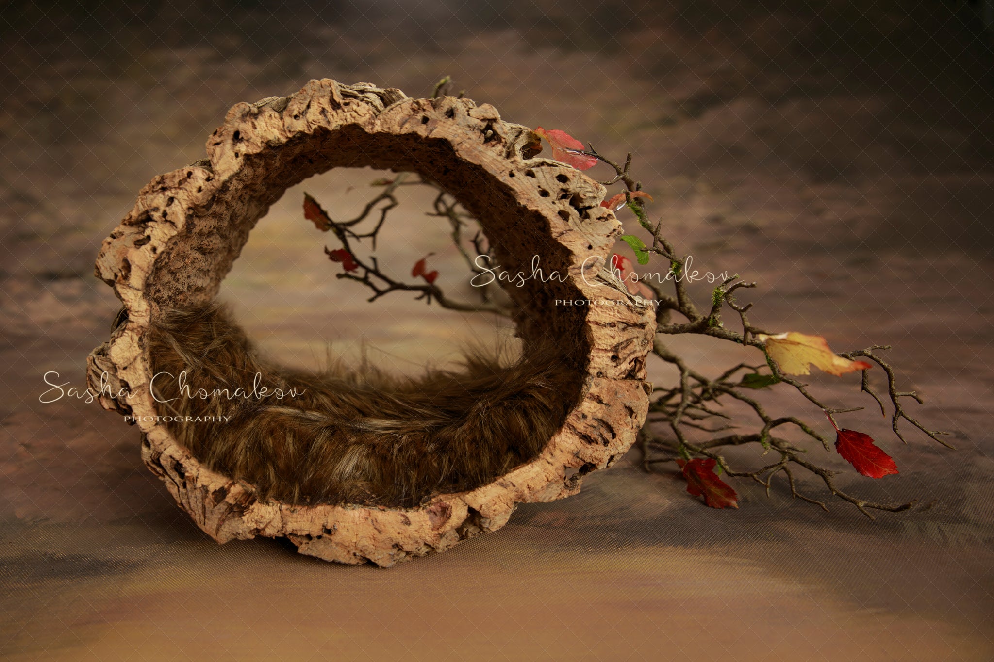 Digital Backdrop