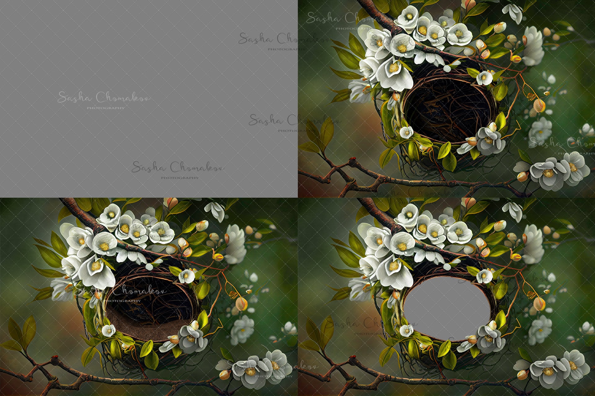 Digital Backdrop Ai generated and hand painting