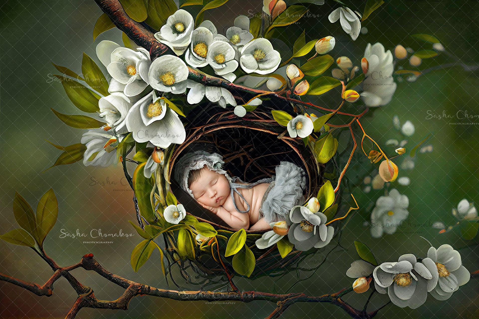 Digital Backdrop Ai generated and hand painting