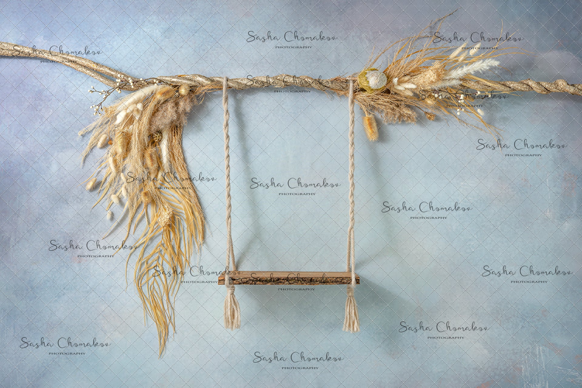Digital Backdrop