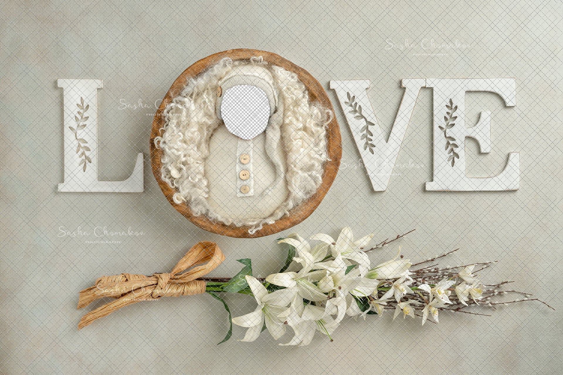 Digital Backdrop