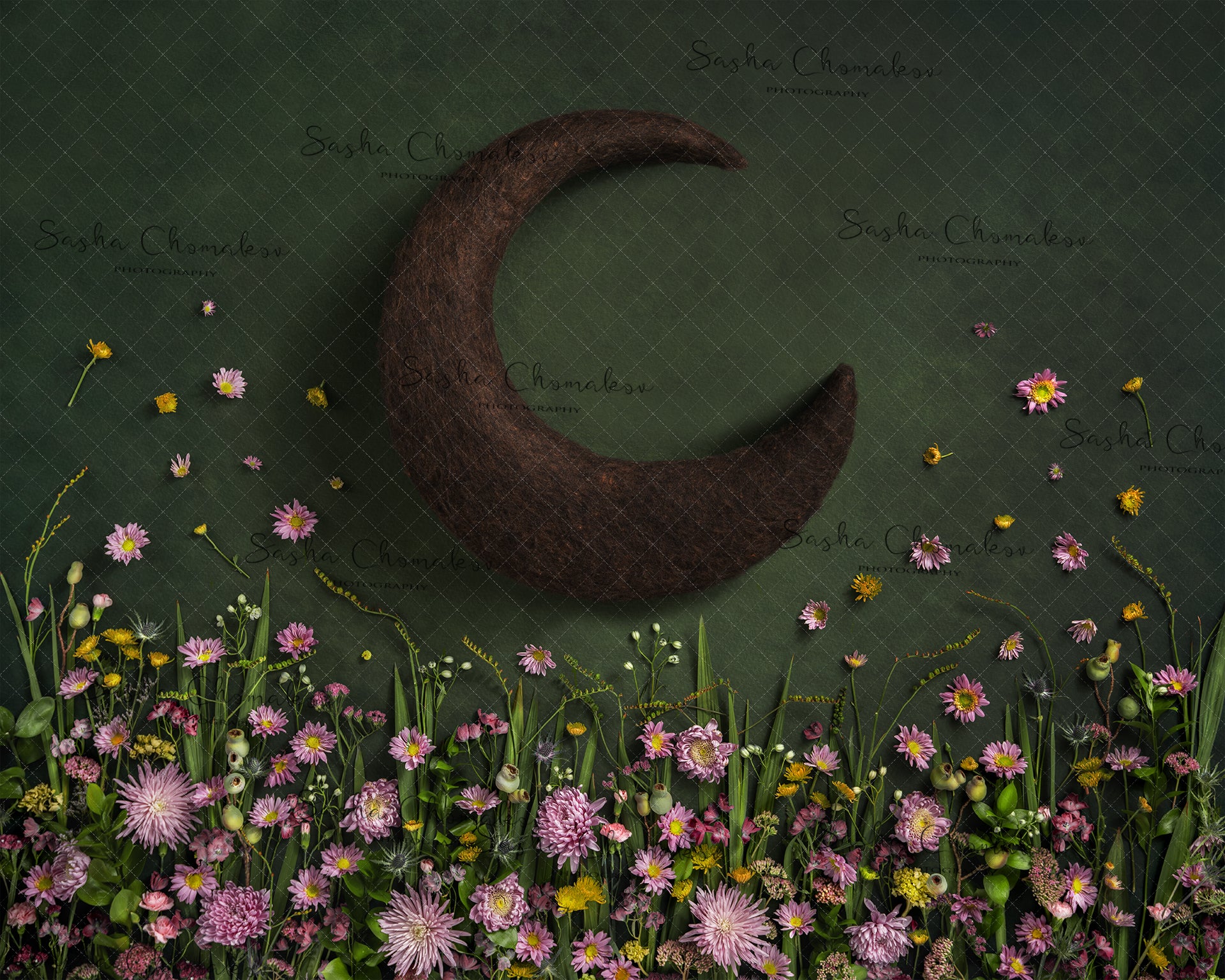 Digital Backdrop