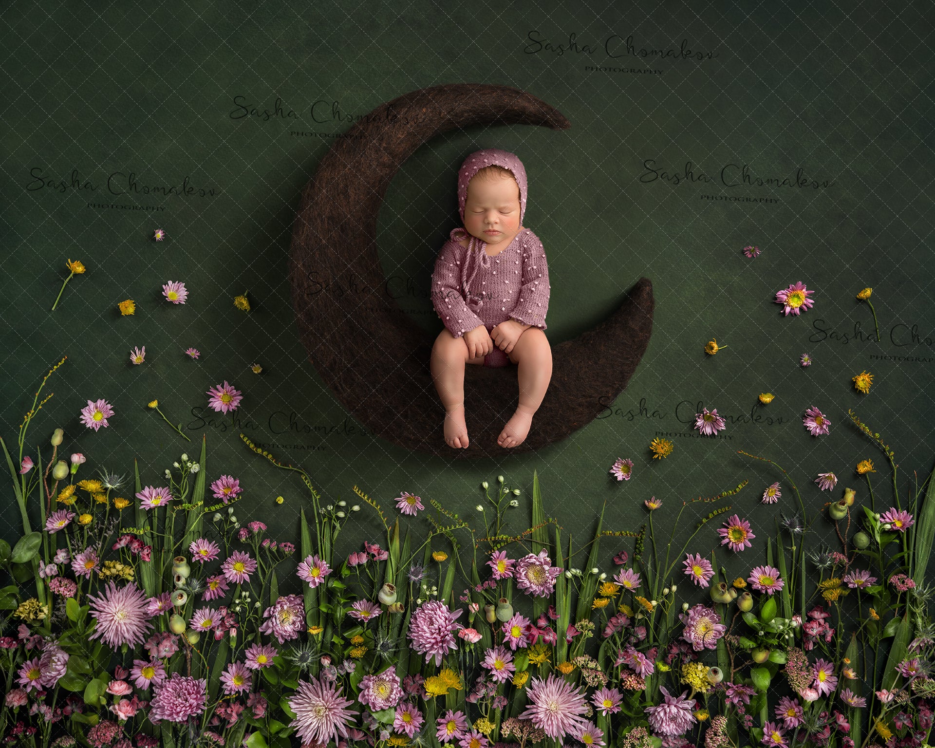 Digital Backdrop
