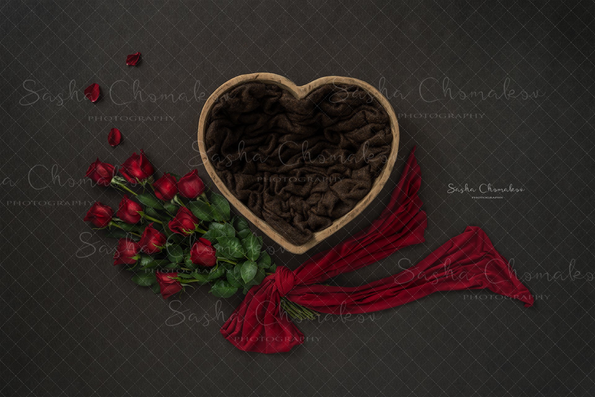Digital Backdrop
