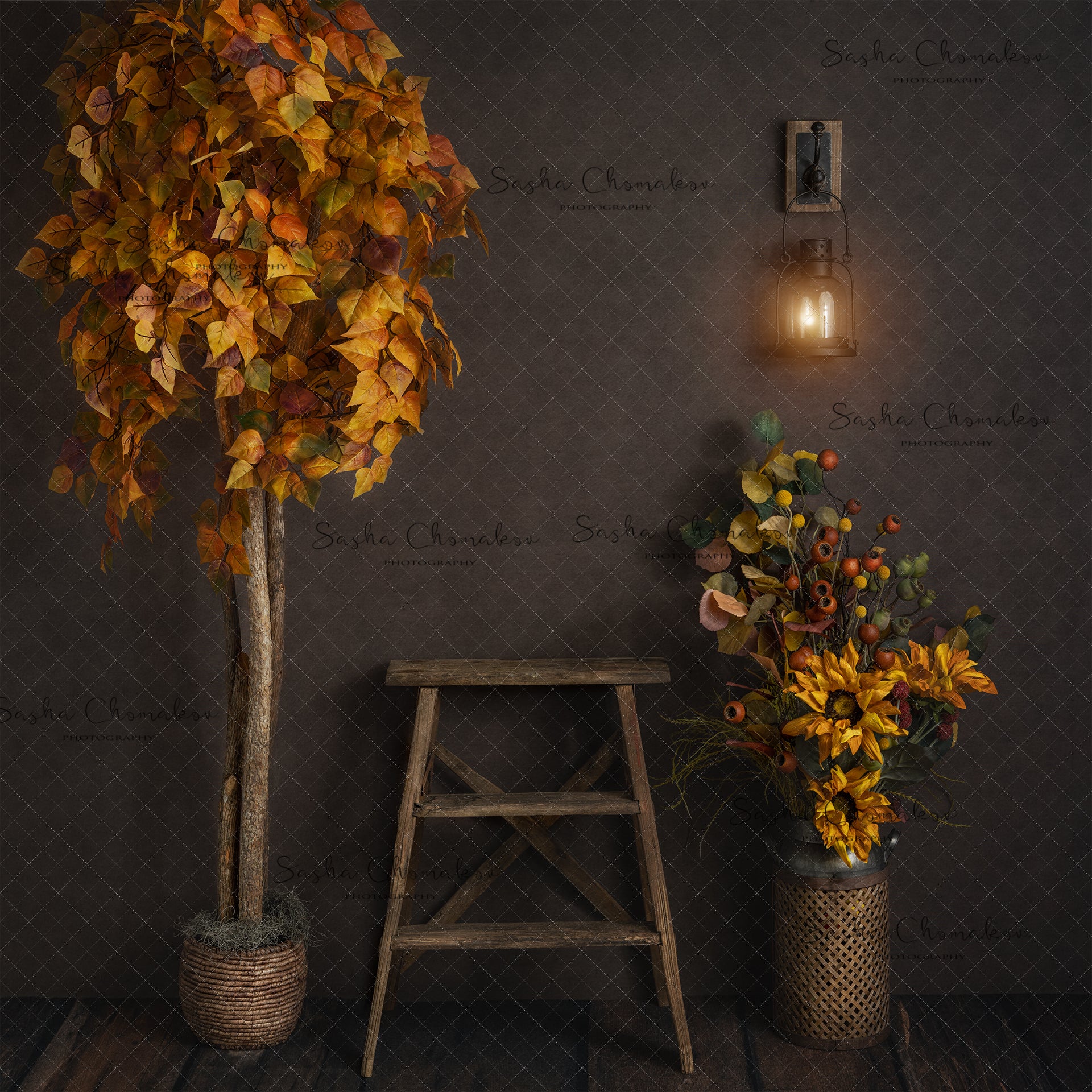 Digital Backdrop