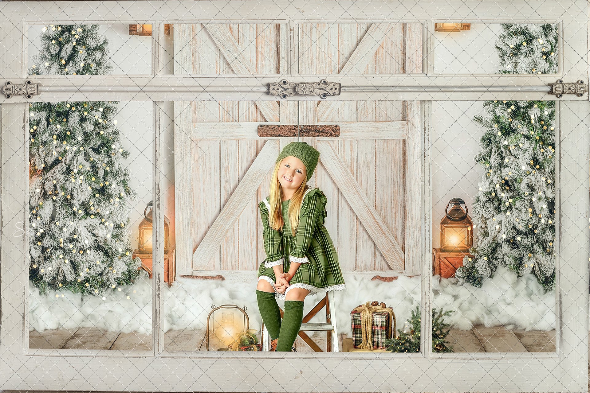 Digital window overlays