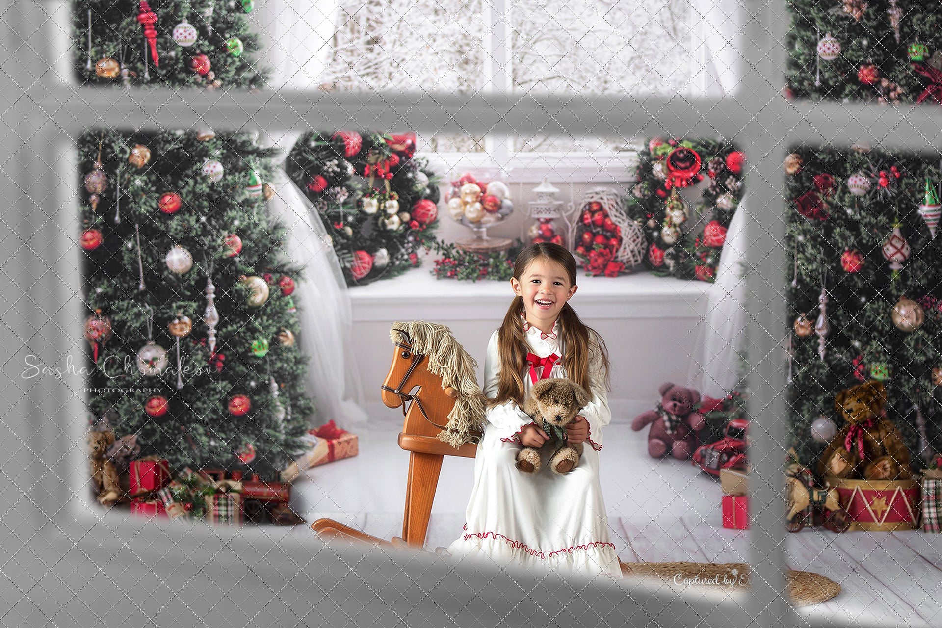Digital window overlays