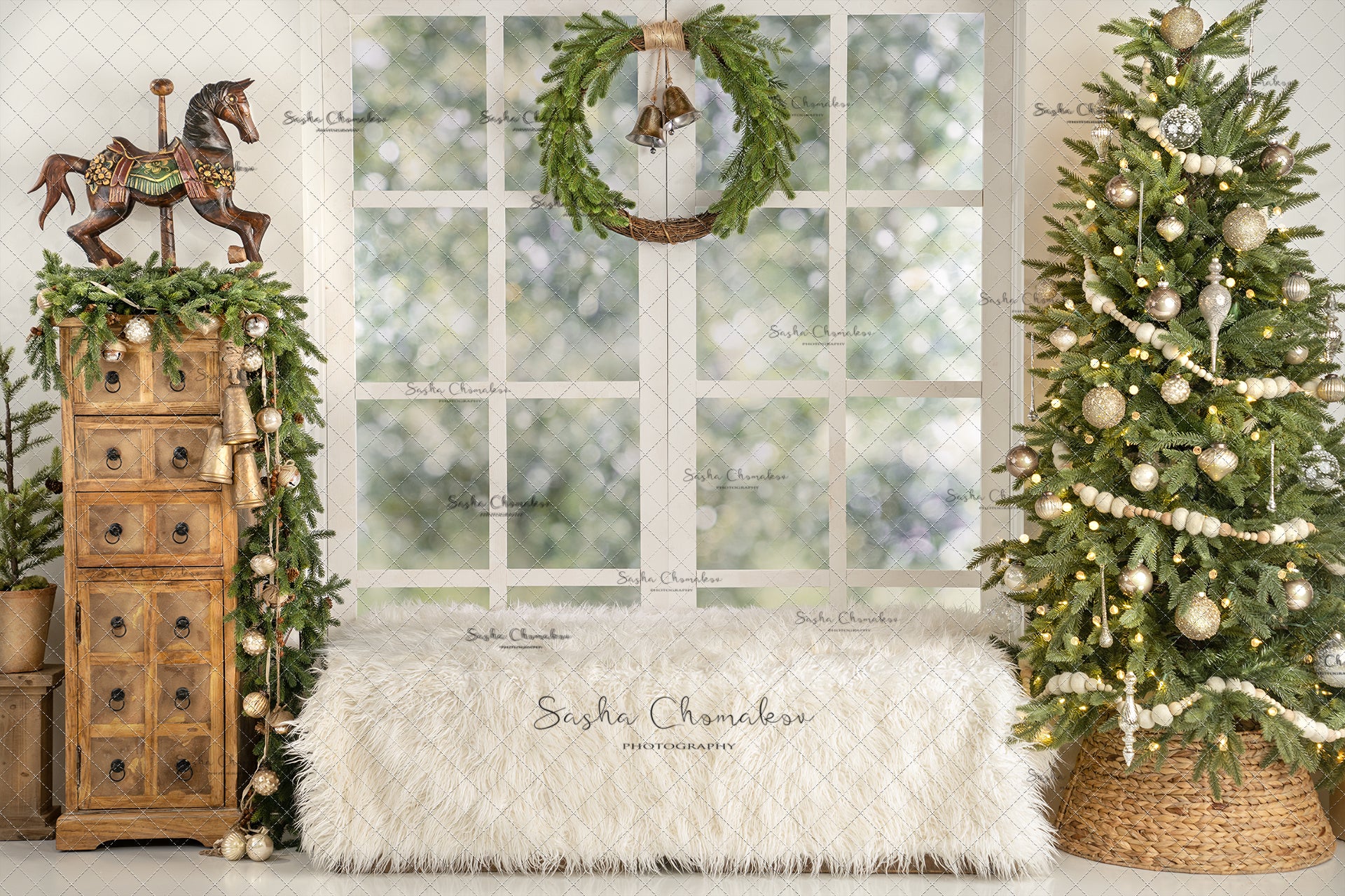 Digital Backdrop