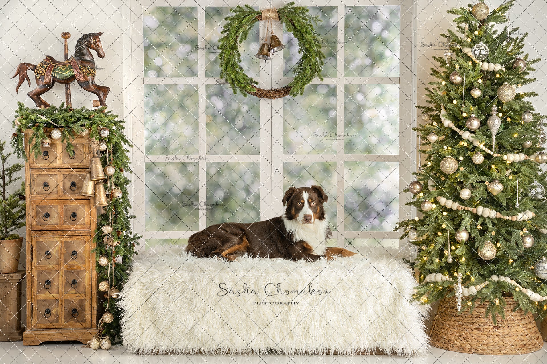 Digital Backdrop