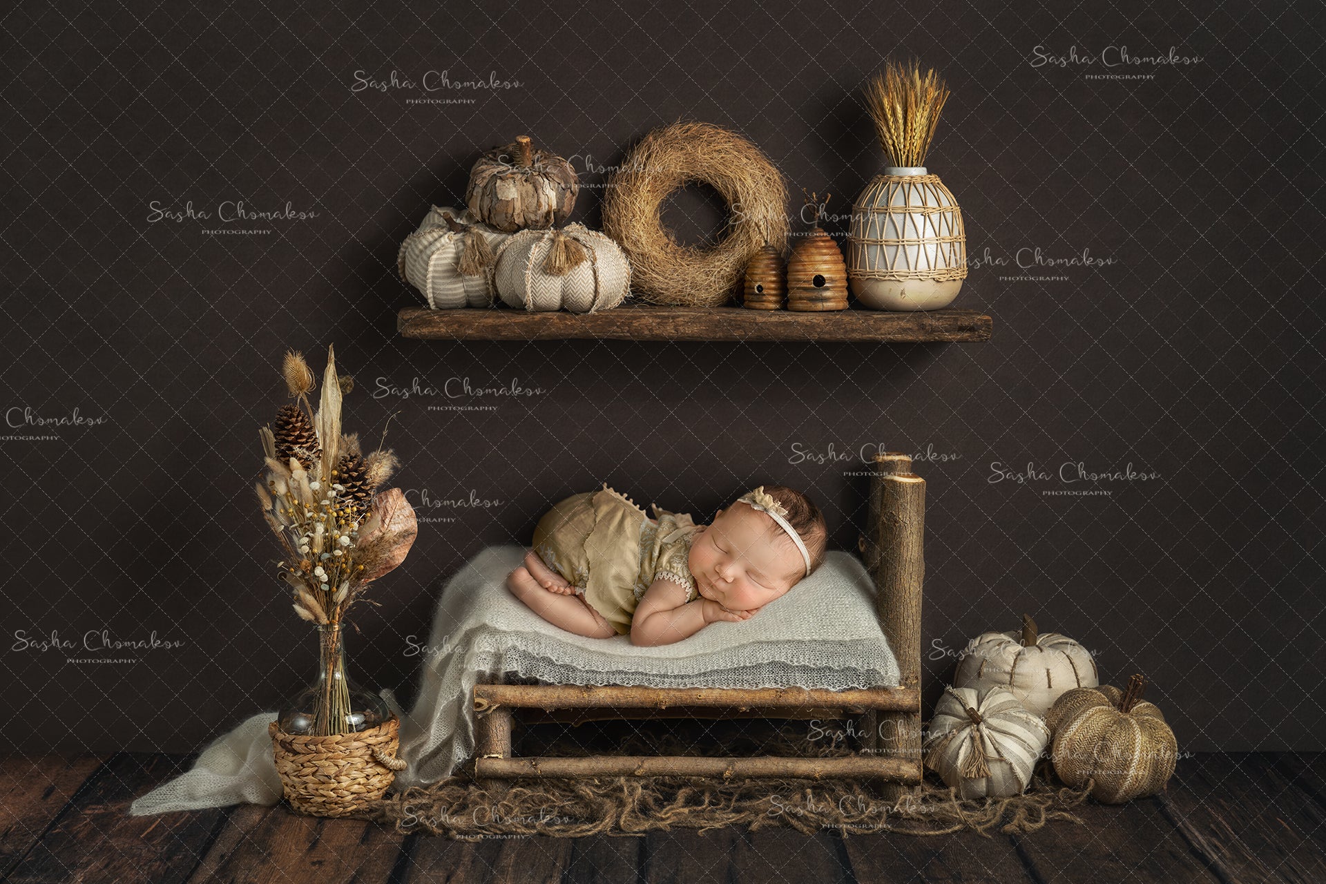 Digital Backdrop