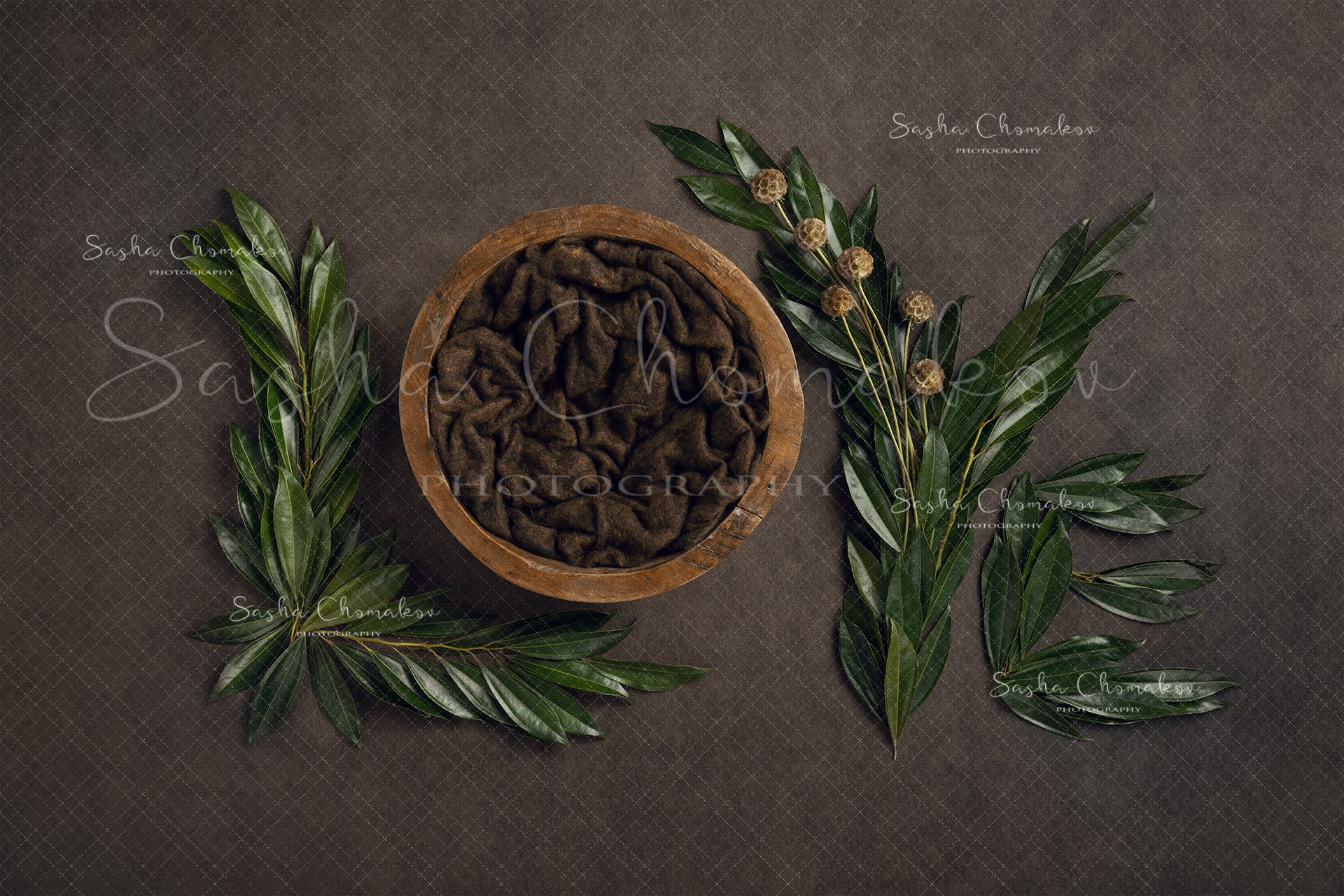 Digital Backdrop