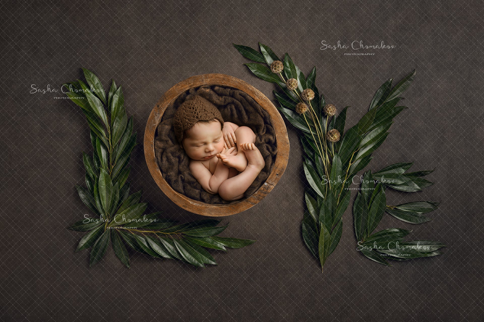 Digital Backdrop