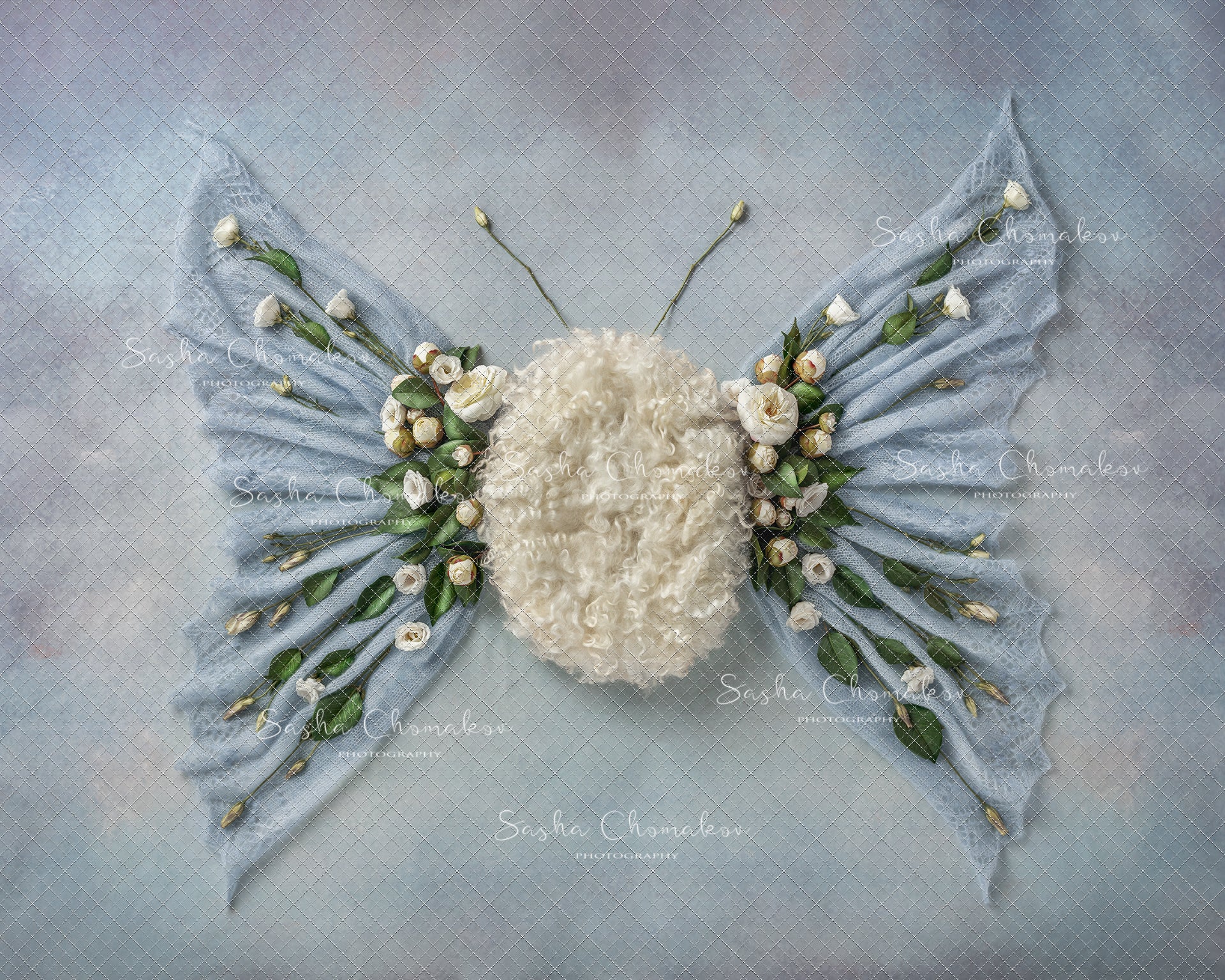 Digital Backdrop
