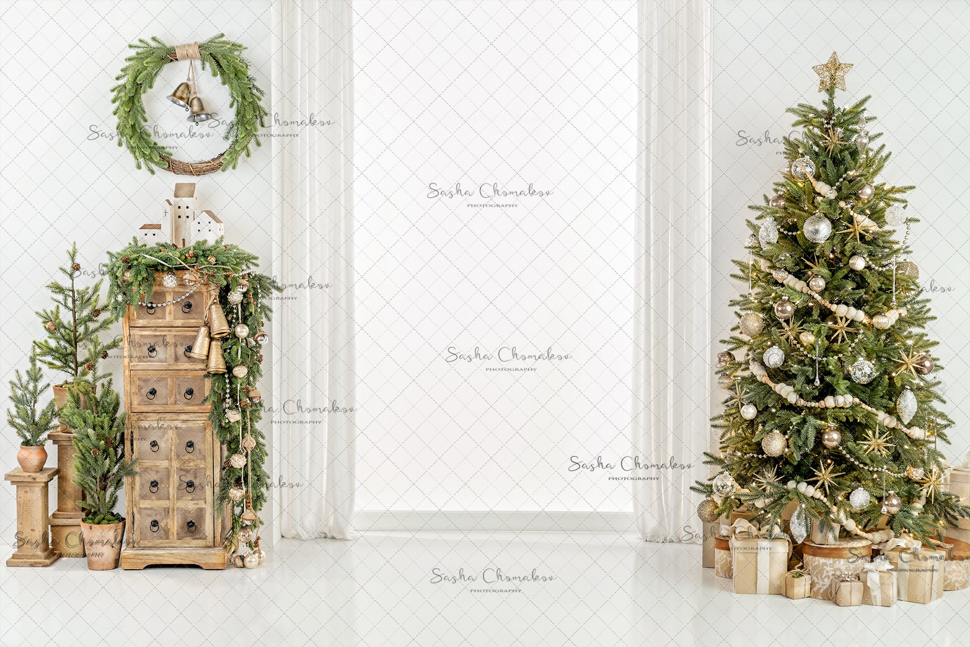 Digital Backdrop
