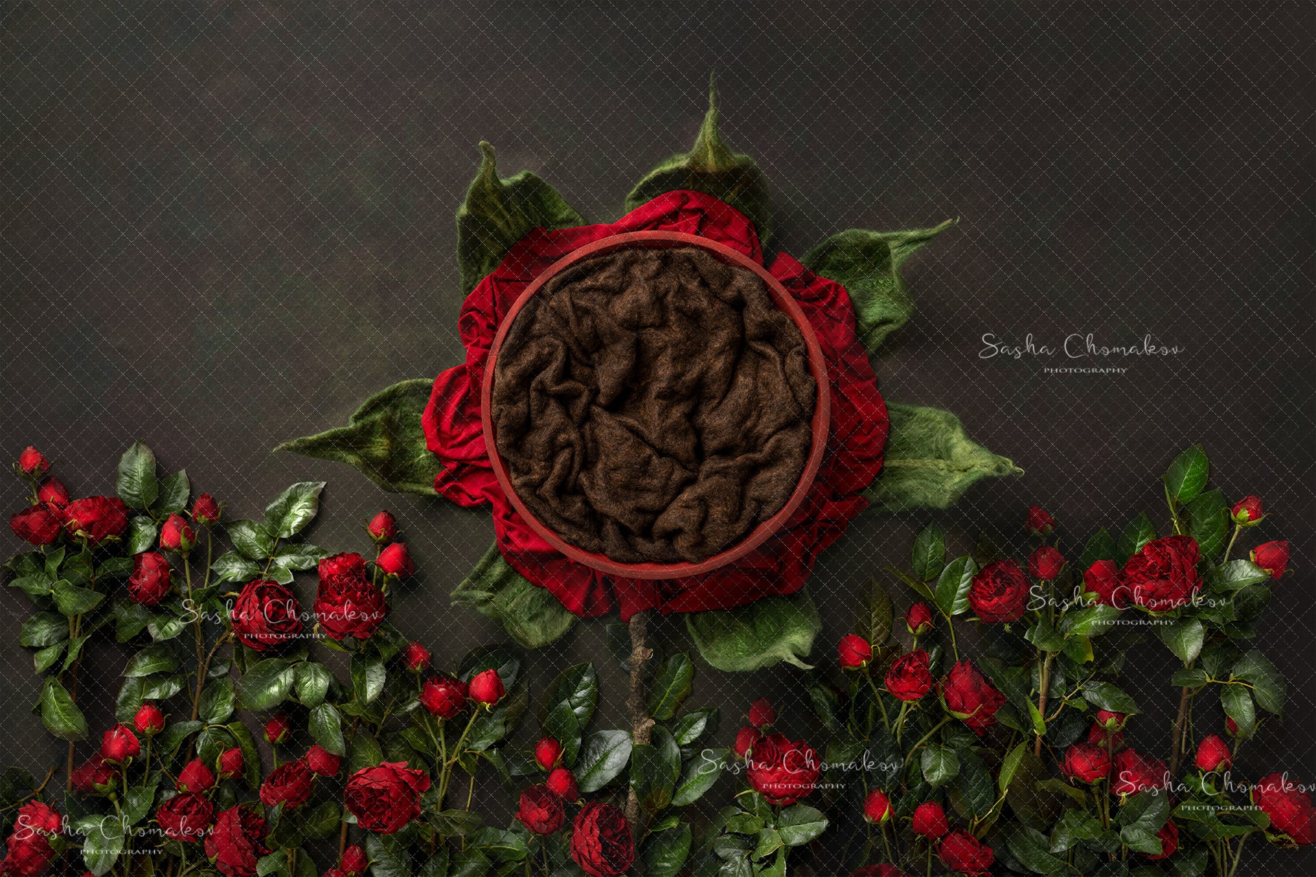 Digital Backdrop