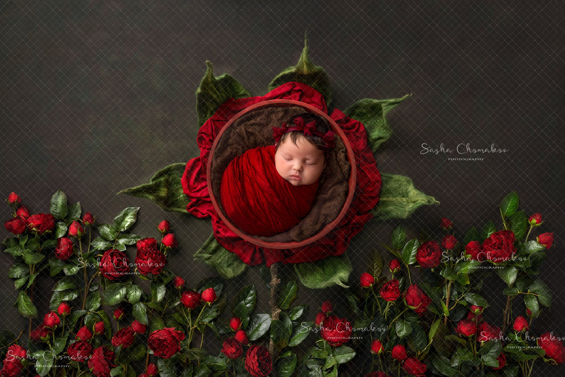 Digital Backdrop