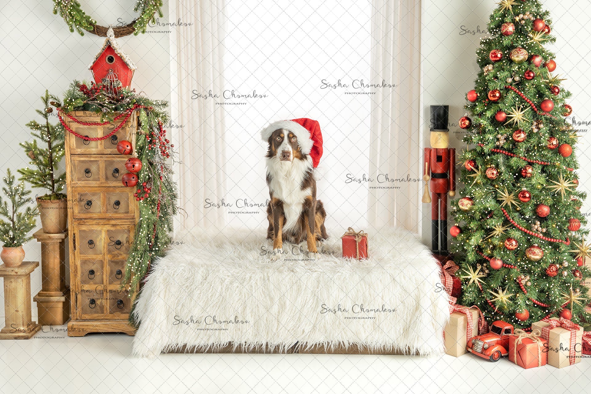 Digital Backdrop