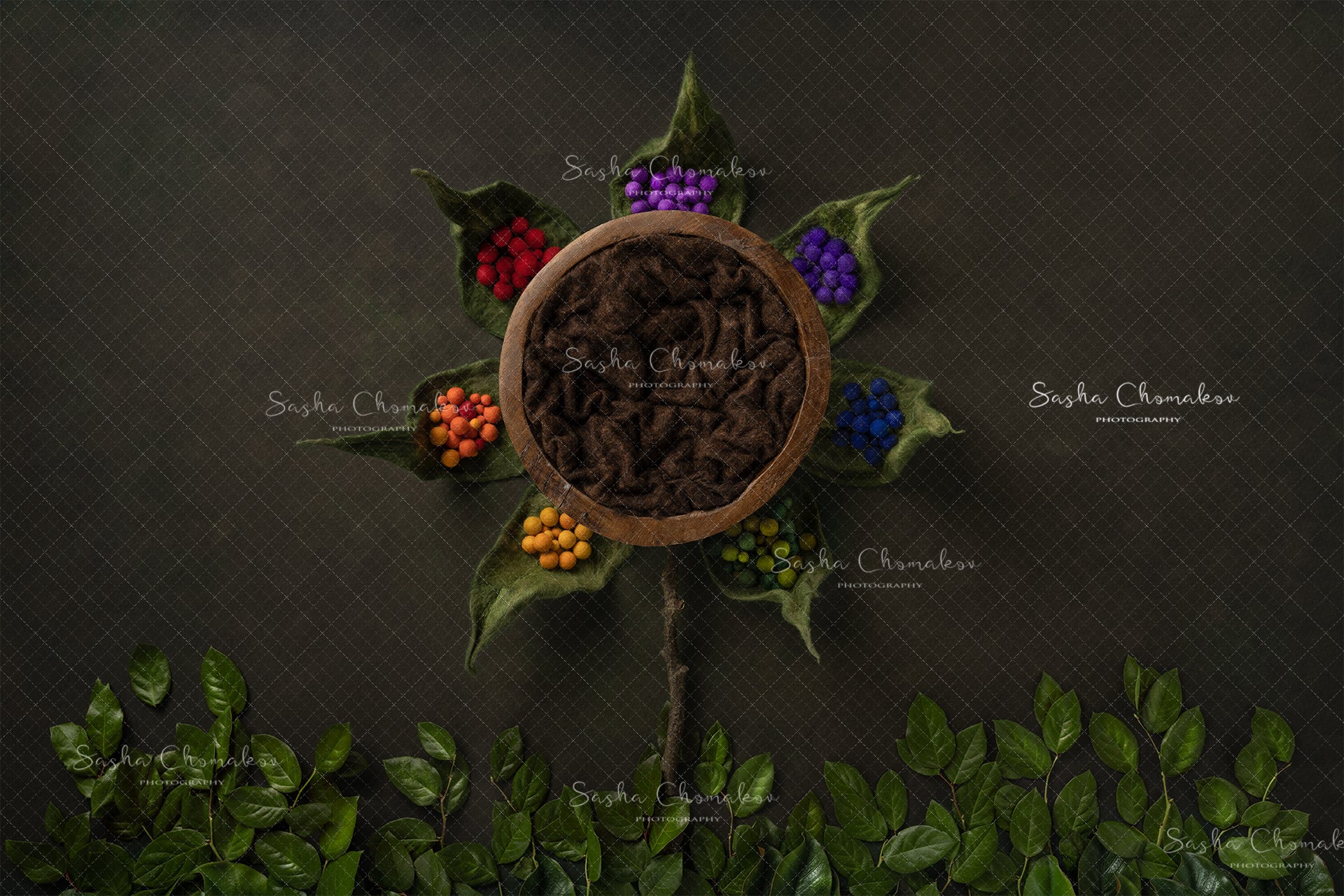 Digital Backdrop