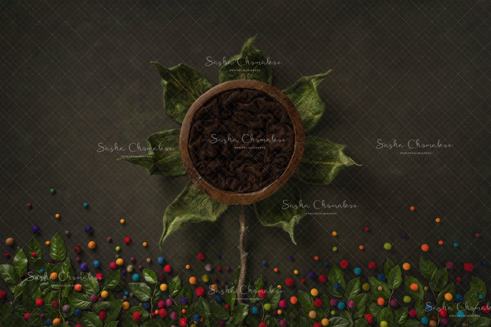 Digital Backdrop