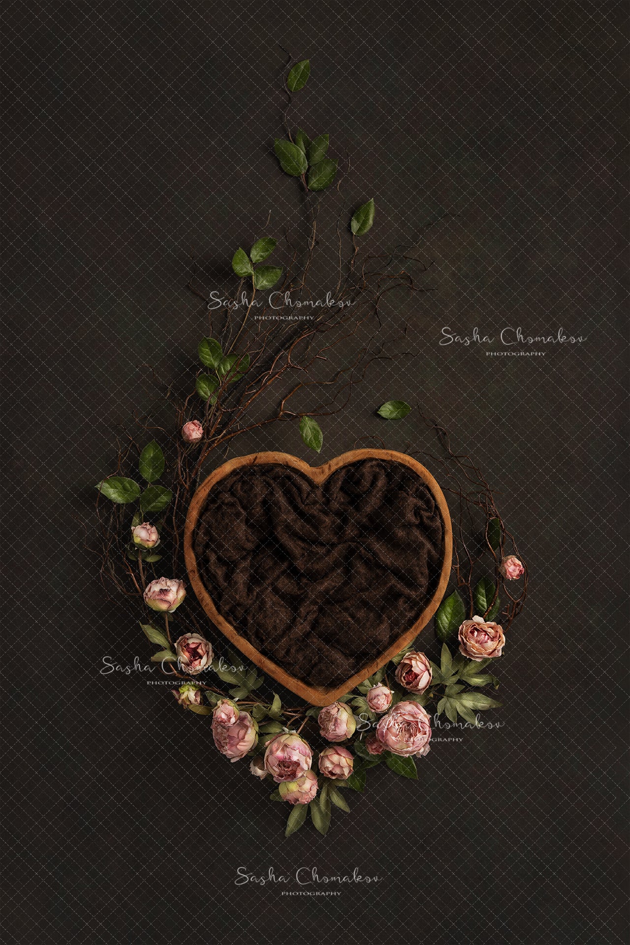 Digital Backdrop